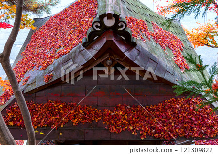 241119 Hie Shrine z001 241119 Hie Shrine z001 121309822