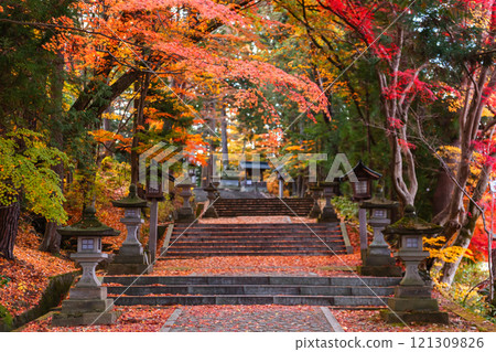 241119 Hie Shrine z009 121309826