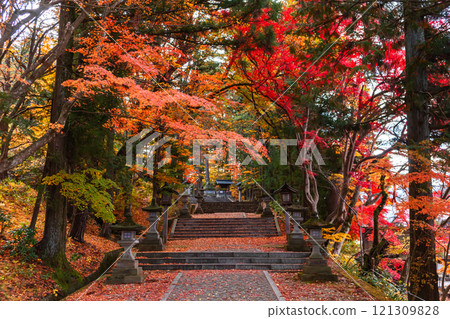 241119 日枝神社 z011 241119 日枝神社 z011 121309828