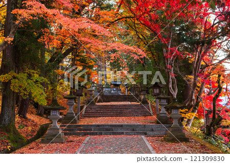 241119 Hie Shrine z013 121309830