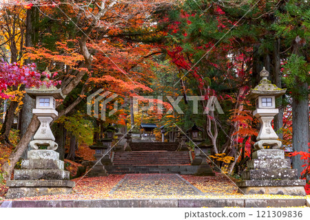 241119 Hie Shrine z020 121309836