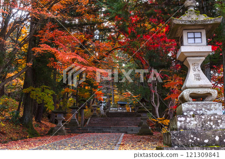 241119 Hie Shrine z029 121309841