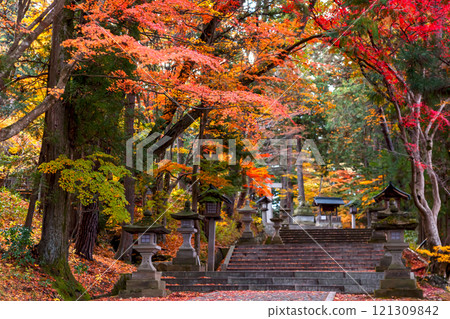 241119 Hie Shrine z030 241119 Hie Shrine z030 121309842