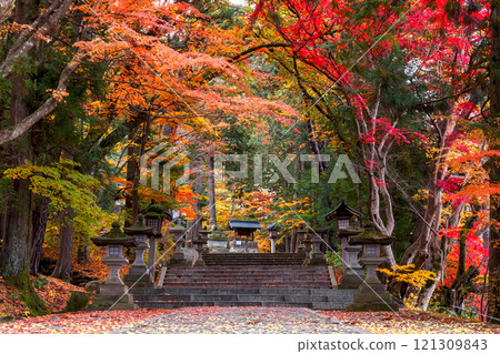 241119 Hie Shrine z031 121309843