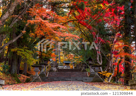 241119 Hie Shrine z032 241119 Hie Shrine z032 121309844