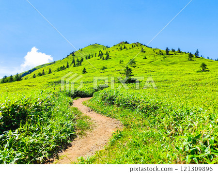 Summer climbing at Mt. Azuma and Mt. Nekodake (Mt. Azuma to Mt. Nekodake) 121309896
