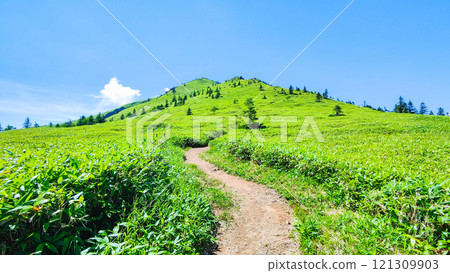 夏季登山希雅山、貓山（希雅山、貓山） 121309903