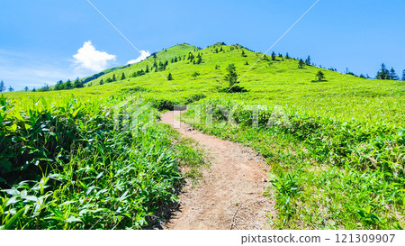 Summer climbing at Mt. Azuma and Mt. Nekodake (Mt. Azuma to Mt. Nekodake) 121309907