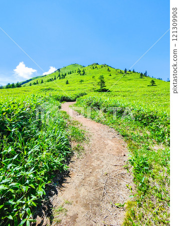 Summer climbing at Mt. Azuma and Mt. Nekodake (Mt. Azuma to Mt. Nekodake) Summer climbing at Mt. Azuma and Mt. Nekodake (Mt. Azuma to Mt. Nekodake) 121309908