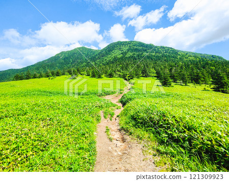 夏季攀登希雅山、貓山（貓山～希雅山） 121309923