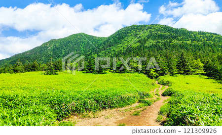 Summer climbing of Mt. Azuma and Mt. Nekodake (Mt. Nekodake to Mt. Azuma) 121309926
