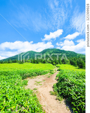夏季攀登希雅山、貓山(貓山~希雅山) 夏季攀登希雅山、貓山(貓山~希雅山) 121309928
