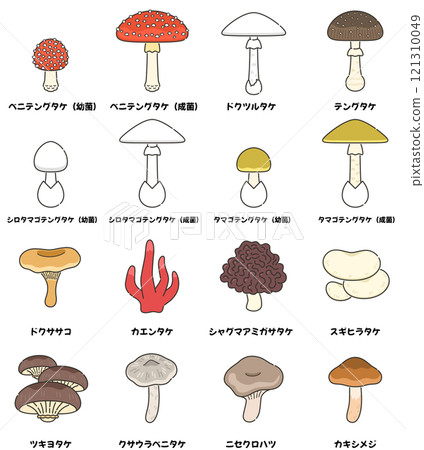 Poisonous mushroom illustration set Poisonous mushroom illustration set 121310049