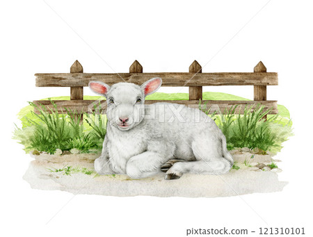 Small lamb resting on the grass against wooden fence background. Small baby sheep vintage style realistic illustration. Ideal for farm themed designs, Easter decor and countryside inspired projects 121310101