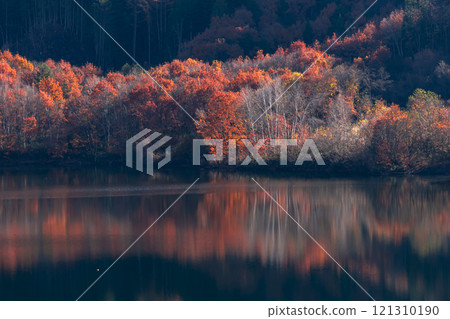 241121 入川水壩 g270 121310190