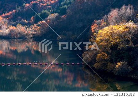 241121 入川水壩 g286 121310198