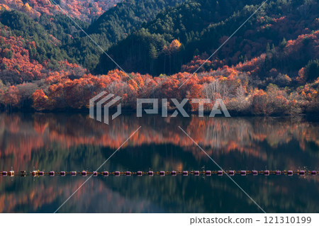 241121 Nyukawa Dam g288 241121 Nyukawa Dam g288 121310199