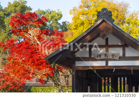 Autumn in Kyoto: Kamigamo Shrine, the sacred horse stables surrounded by autumn leaves Autumn in Kyoto: Kamigamo Shrine, the sacred horse stables surrounded by autumn leaves 121310330