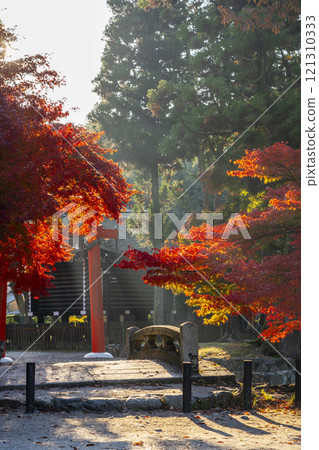 Autumn in Kyoto: Kamigamo Shrine, Shinto Bridge over Nara Stream 121310333