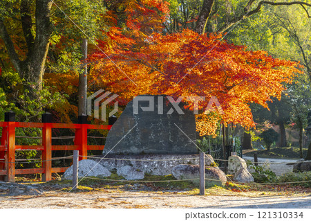 秋天的京都，上賀茂神社，秋葉覆蓋的藤原家孝紀念碑 121310334