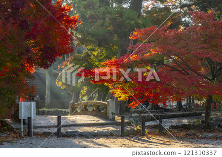 Autumn in Kyoto: Kamigamo Shrine, Shinto Bridge over Nara Stream 121310337