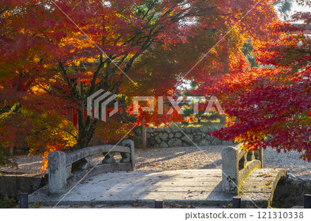 京都的秋天，上賀茂神社，奈良溪上的祭祀橋 121310338