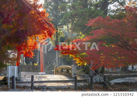 京都的秋天,上賀茂神社,奈良溪上的神道橋和秋葉 京都的秋天,上賀茂神社,奈良溪上的神道橋和秋葉 121310342
