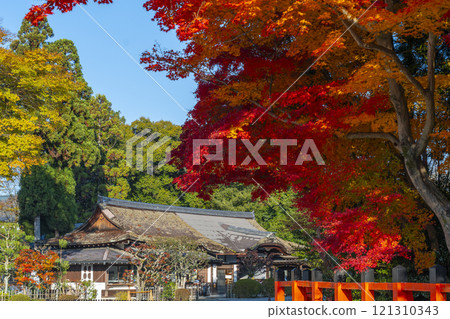 京都的秋天,上賀茂神社,楓葉變成鮮紅色 京都的秋天,上賀茂神社,楓葉變成鮮紅色 121310343