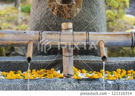 秋天的京都上賀茂神社長頭屋（立花長頭） 121310354
