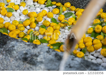 秋天的京都上賀茂神社長頭屋（立花長頭） 121310356