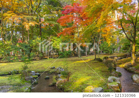 Autumn in Kyoto: Autumn leaves at Shokeien Garden, Kamigamo Shrine Autumn in Kyoto: Autumn leaves at Shokeien Garden, Kamigamo Shrine 121310366