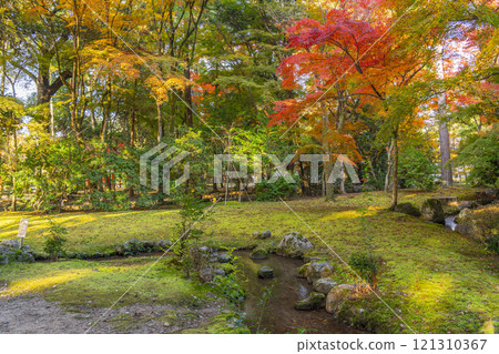 Autumn in Kyoto: Autumn leaves at Shokeien Garden, Kamigamo Shrine Autumn in Kyoto: Autumn leaves at Shokeien Garden, Kamigamo Shrine 121310367
