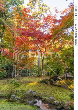 京都的秋天，上賀茂神社和松慶園 121310369