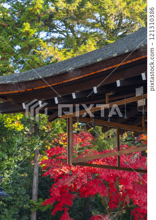 秋天的京都，上賀茂神社 - 從禦所社（外殿）可以看到秋葉 121310386