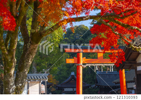 京都的秋天,上賀茂神社,二野鳥居和競爭性的楓樹 京都的秋天,上賀茂神社,二野鳥居和競爭性的楓樹 121310393