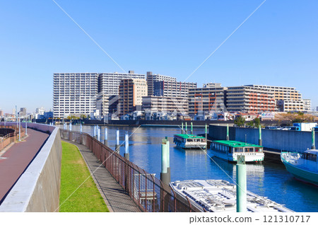 東京江戶川區舊江戶川沿岸道路 2024 年 12 月 121310717