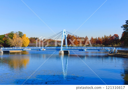 Around Mizumoto Park, Katsushika Ward, Tokyo December 2024 Around Mizumoto Park, Katsushika Ward, Tokyo December 2024 121310817