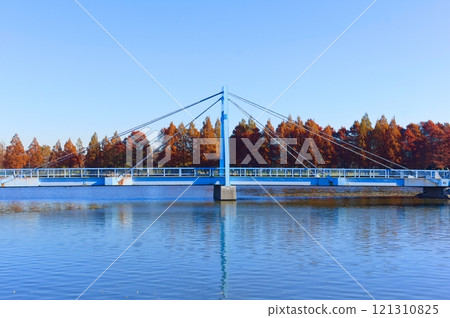 東京都葛飾區水元公園週邊 2024 年 12 月 121310825