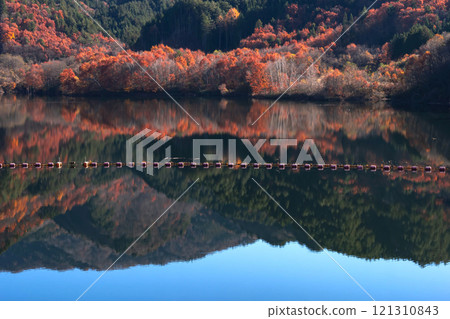 241121 Nyukawa Dam g350 241121 Nyukawa Dam g350 121310843