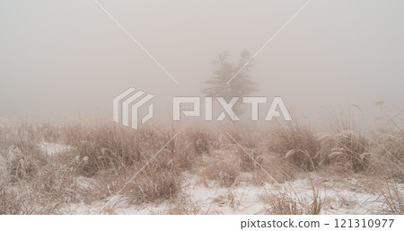 Snow scene in the mist 121310977