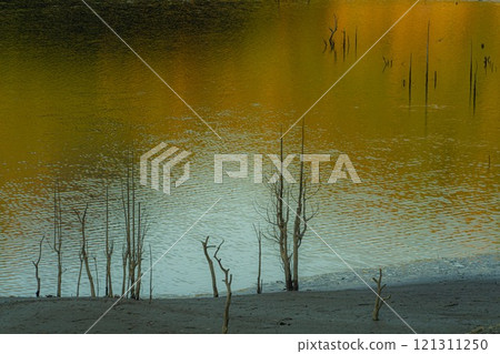 Autumn leaves reflected in the dam lake 121311250