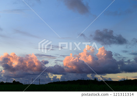 在夕陽下沾染的雲 121311314