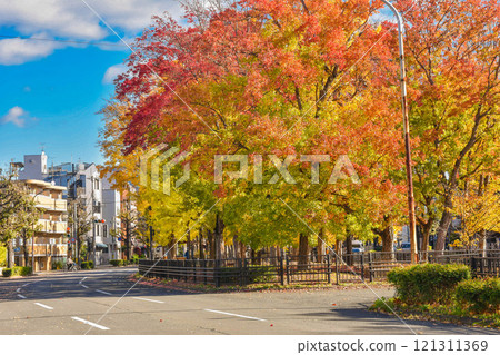 京都市北區秋天的四明通 京都市北區秋天的四明通 121311369