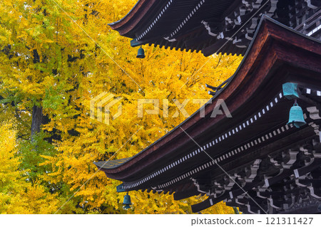 241127 飛驒國分寺 g014 121311427