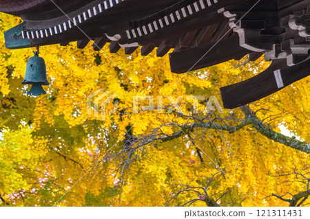 241127 飛驒國分寺 g022 241127 飛驒國分寺 g022 121311431