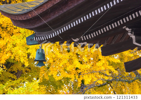 241127 Hida Kokubunji g024 121311433