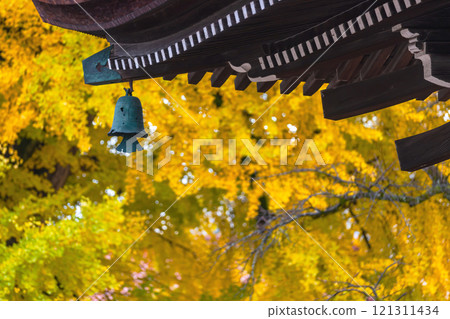 241127 Hida Kokubunji g026 121311434