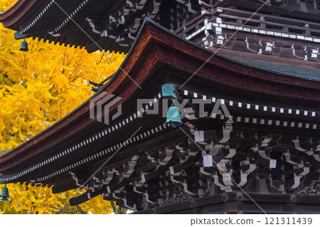 241127 Hida Kokubunji g041 121311439