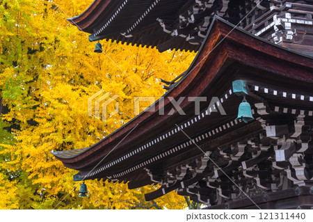 241127 Hida Kokubunji g042 121311440