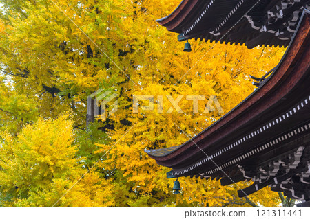 241127 飛驒國分寺 g044 121311441